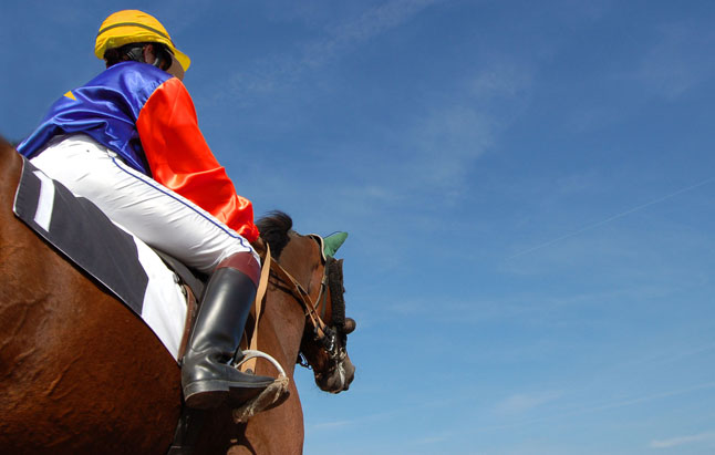 Remise de 15 % sur chevaux - Spécial Meeting d'hiver de Vincenne