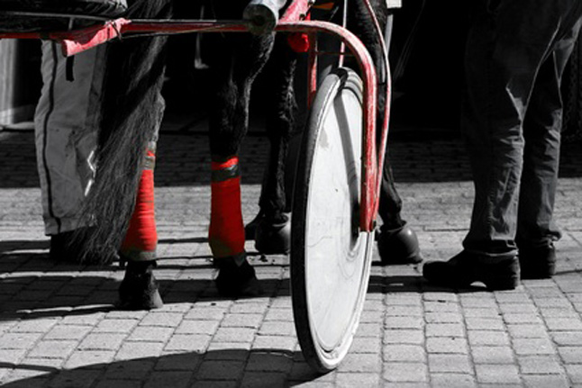 Services conseils et avantages